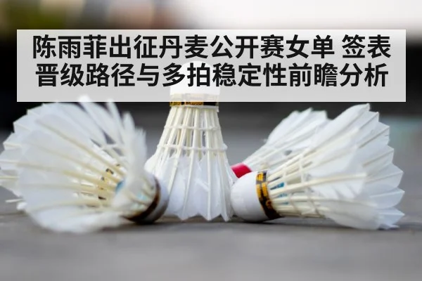 badminton court shuttlecock
